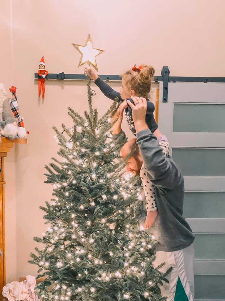 Consumidores optan por árboles de Navidad naturales - PUERTO RICO POSTS