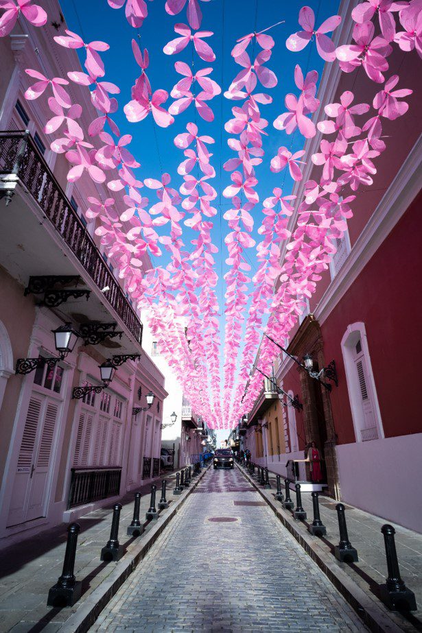 Calle Fortaleza se convierte en Paseo de las Mariposas PUERTO RICO POSTS