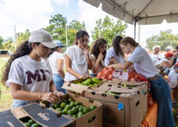 Vimenti celebra su quinta Feria de Salud, promoviendo el “bienestar en cada etapa de la vida”