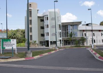 CMU Ofrecen Certificación en redacción de propuestas para fondos locales y federales en el RUM