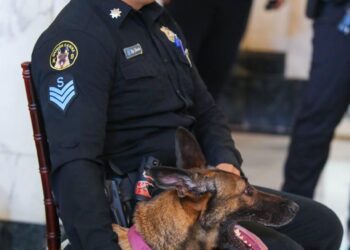 Senado reconoce divisiones de la Policía