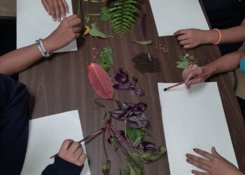 Promueven empoderamiento de las niñas en las ciencias en la Escuela Luis Muñoz Rivera