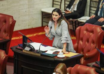 SENADORA ADA ÁLVAREZ CONDE RADICA RESOLUCIÓN PARA GARANTIZAR SERVICIOS A VETERANOS ANTE LA CRISIS DE DESPIDOS