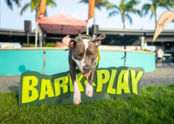 Bark and Play celebra su segunda edición para celebrar el Día Nacional de la Mascota