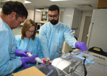 Dispositivo para tratamiento de cáncer desarrollado  en el Recinto Universitario de Mayagüez de la UPR  recibe competitiva subvención STTR de la NSF para su potencial comercialización