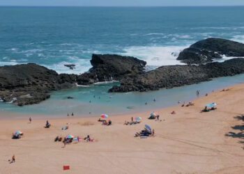 Vega Baja invita a limpieza de la Playa Puerto Nuevo el primer sábado de abril