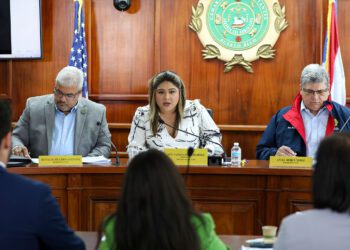 Cámara propone incorporar la inteligencia artificial para enseñar inglés en las escuelas públicas