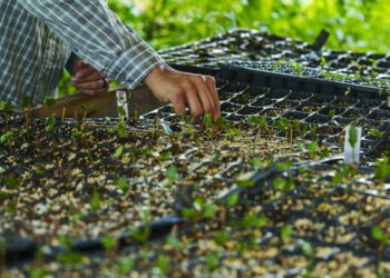 Donativos ambientales Ford celebra 25 aniversario otorgando $85 mil en  proyectos ganadores