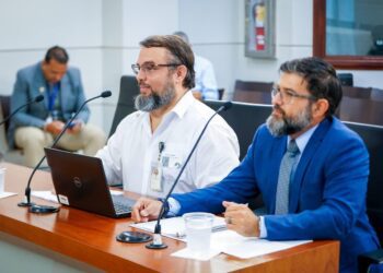 Evalúan crear registro de antenas y torres de telecomunicaciones