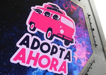 Adopta Ahora lanza campaña Hilando Vidas