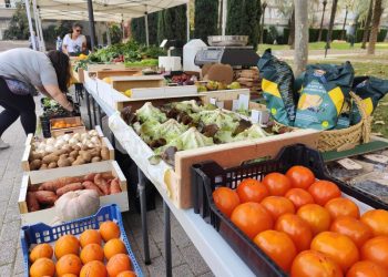 Plaza de la Juventud: un espacio para la cultura y la comunidad   