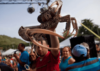 Festival Jueyero de Guánica es este fin de semana