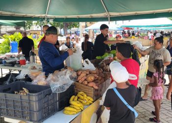 Mercado Familiar llega a la Plaza Pública de Fajardo