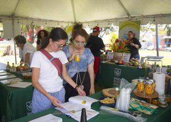 La Universidad de Puerto Rico Recinto de Mayagüez recibe el prestigioso reconocimiento Mangó de Oro en el Festival del Mango 2025