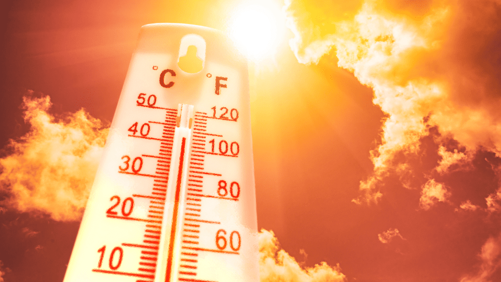 CALOR PR