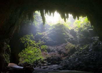 Municipio de Camuy anuncia amnistía contributiva con descuentos de hasta 75 % y eliminación de penalidades