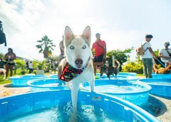 La tercera edición del evento se llevará a cabo el domingo, 31 de agosto en Patria Yards del Distrito de Convenciones