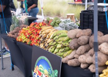 Mercado Guayabas: Una nueva esperanza para la agricultura y el emprendimiento en el Este de Puerto Rico