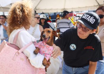 Municipio de Cataño celebra la 4ta Edición de Mascotas All Star: Caminando y Meneando la Colita