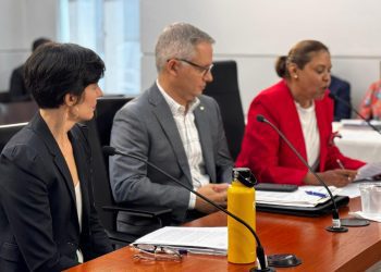 Centro Unido de Detallistas fija posición sobre el  uso de bolsas plásticas