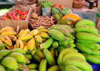 Iniciativa promueve mercados agrícolas en el noroeste de Puerto Rico