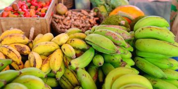 Iniciativa promueve mercados agrícolas en el noroeste de Puerto Rico