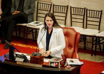 Aprobadas paquete de medidas de Ada Álvarez Conde sobre maltrato animal, vivienda y reciclaje