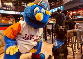 Salvatore se convierte en el primer “bat dog” autorizado en Puerto Rico