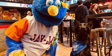 Salvatore se convierte en el primer “bat dog” autorizado en Puerto Rico