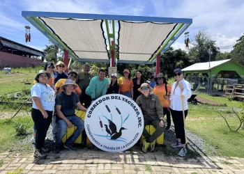 Kia invita a regalar algo que mueva a Puerto Rico esta Navidad