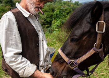 El actor Teófilo Torres presenta ¡Pateco en Navidad fúnebre!