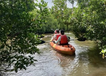 Turismo de Salinas invita a sus recorridos en kayak o bicicleta