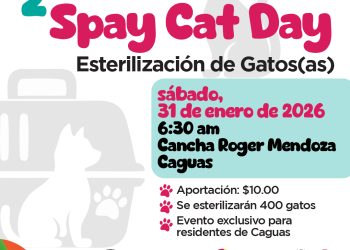 Municipio de Caguas anuncia el Segundo Spay Cat Day que se llevará a cabo el sábado, 31 de enero