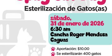 Municipio de Caguas anuncia el Segundo Spay Cat Day que se llevará a cabo el sábado, 31 de enero