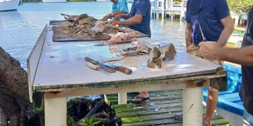 Recursos Naturales mantiene a los pescadores fuera del agua en medio de la Cuaresma al no renovar sus licencias