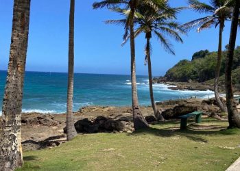 Revelan secretos geológicos de la costa de Quebradillas en taller educativo