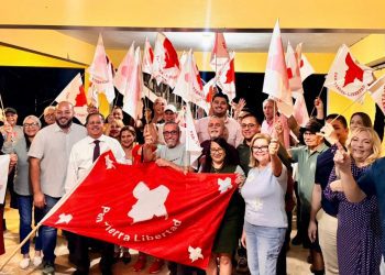 A paso firme la reorganización del PPD