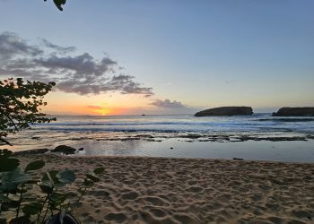 Organizaciones denuncian que el PC – 25 facilitaría la privatización de playas en Puerto Rico