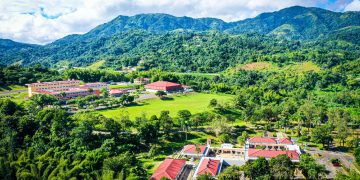 UPR Utuado se convierte en el epicentro de la agricultura y la cultura con la 39.ª edición del Festival Tierra Adentro