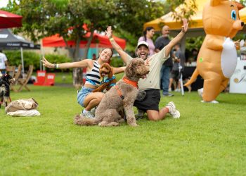 Regresa Bark & Play para celebrar el Pet Day con experiencias para toda la familia 