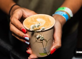 Exitosa la segunda edición del Vegan Paradise Fest 