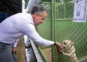 Municipio de San Juan recibe subvención de PetSmart Charities para preparar más mascotas para adopción