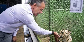 Municipio de San Juan recibe subvención de PetSmart Charities para preparar más mascotas para adopción