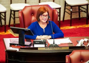 Senadora radica medida para identificar caballos y mejorar la seguridad vial