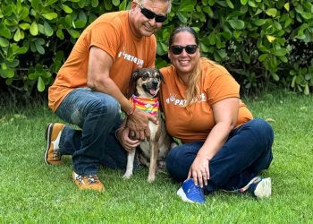 Fundación 4 Patitas PR: Una misión de amor que transforma vidas en Puerto Rico