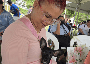 Feria de mascotas en Vega Alta promueve una visión integral de la salud familiar