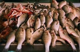 DACO fiscaliza pescaderías para garantizar cumplimiento en precios y calidad