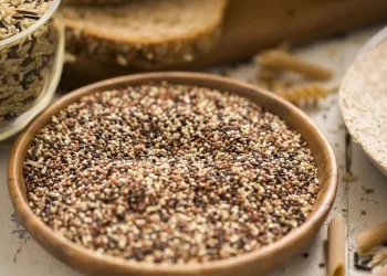 Estudiantes de Puerto Rico competirán creando comida para astronautas de la NASA