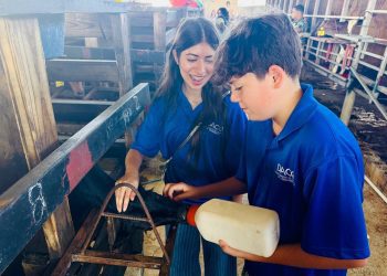 Inspectores Juveniles del DACO realizan inspección educativa en vaquería de Hatillo para conocer procesos de la industria lechera