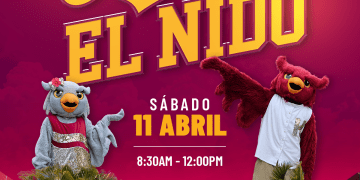 Conoce el Nido: una invitación a descubrir la experiencia universitaria en la UPR en Humacao